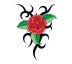 Růže - tribal motiv barevný - tetování, tetovačka