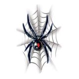Pavouk černá vdova - tetování, tetovačka
