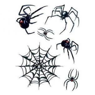 Pavouci a pavučina - sada 6 tetování, tetovačka