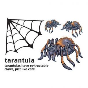 Tarantule 3x s pavučinou - tetování, tetovačka