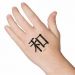 Mír - Peace - čínský symbol, třpytivý - tetování, tetovačka