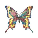 Motýl pestrobarevný - tetování, tetovačka