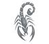 Škorpion šedý - tetování Štír
